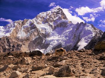 Low angle view of mountain against sky