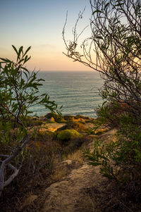 Scenic view of sea against clear sky at sunset