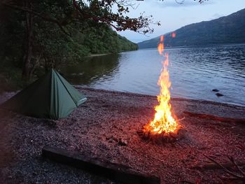 Bonfire by lake against trees in forest