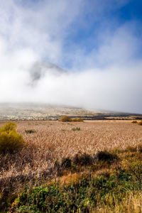 Scenic view of landscape against sky