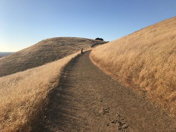 Tire tracks on sand dune against clear blue sky