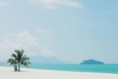 Couple standing by palm tree at beach against sky