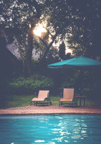 Scenic view of swimming pool by trees