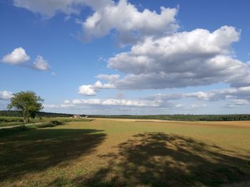 Scenic view of field against sky