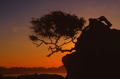 Silhouette tree on rock formation at kuta beach against sky during sunset