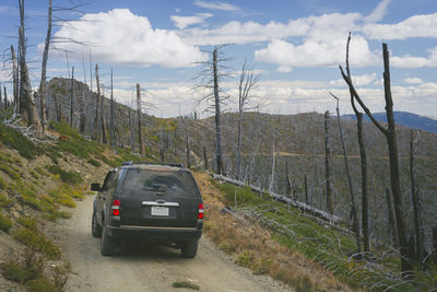 Suv on gravel road in the mountains surrounded by dead burned trees