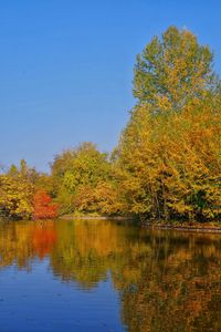 Trees by lake against sky during autumn