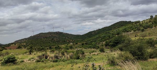 Scenic view of field against sky
