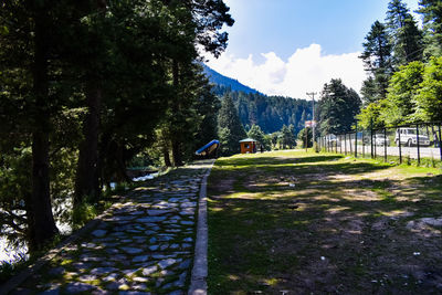 Footpath amidst trees against sky