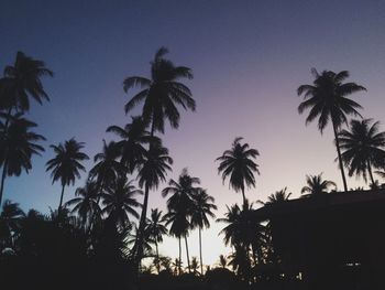 Low angle view of silhouette palm trees against sky