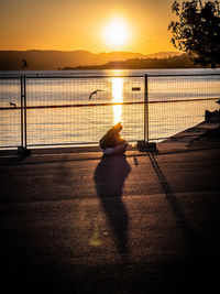 Silhouette man sitting on railing by lake against sky during sunset