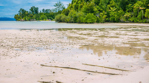 Scenic view of beach against sky