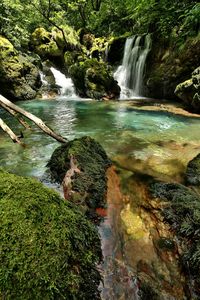 Scenic view of waterfall