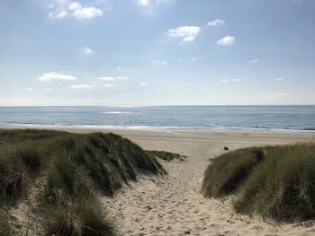 Scenic view of beach against sky