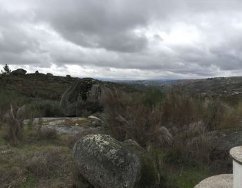 Scenic view of landscape against sky