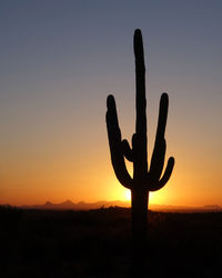 Silhouette saguaro cactus plant on field against sky during sunset