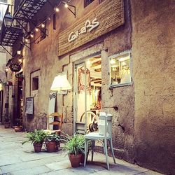 Potted plants on wall of old building