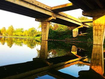 Reflection of trees in water