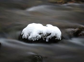 Close-up of snow in water
