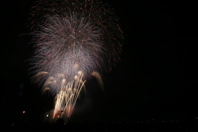 Low angle view of firework display at night