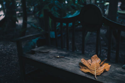 Close-up of dry leaf on table