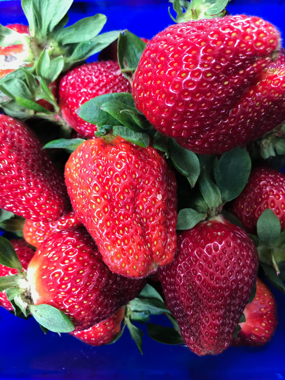CLOSE-UP OF FRESH STRAWBERRIES IN CONTAINER