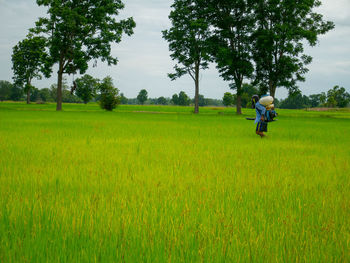 Man riding bicycle on field