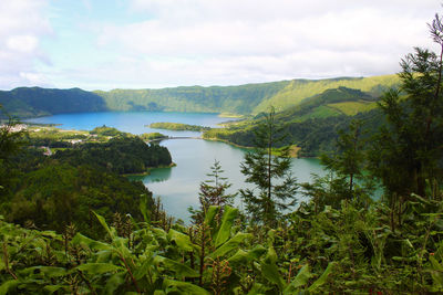 Scenic view of lake and trees against sky