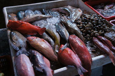 High angle view of fish for sale in market