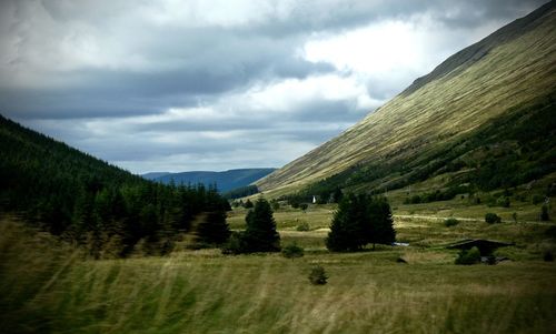 Scenic view of rural landscape