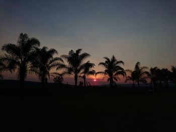 Silhouette palm trees against clear sky at sunset