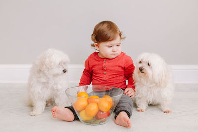 Full length of boy sitting by dogs