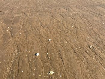 High angle view of wet sand on beach