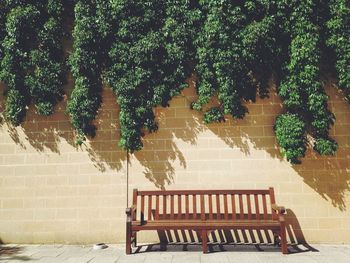 Empty bench in park