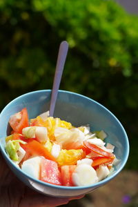 Close-up of fruit salad in bowl