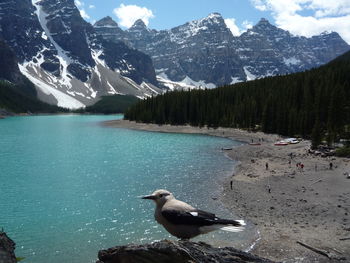 Scenic view of lake by mountains against sky