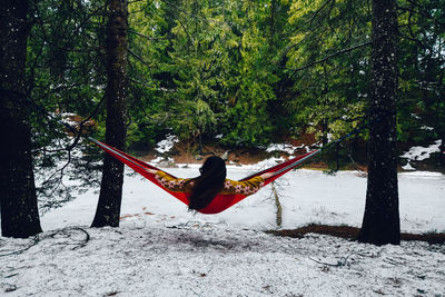 Rear view of woman sitting in hammock at forest during winter