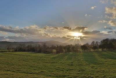 Scenic view of agricultural field against sky during sunset