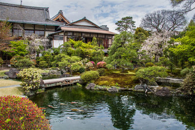 Plants and trees by lake in garden