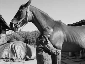 Boy embracing horse at stable