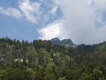 Scenic view of trees and mountains against sky