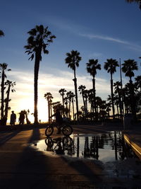 Silhouette palm trees against sky during sunset