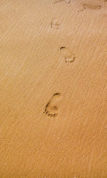 High angle view of footprints at sandy beach