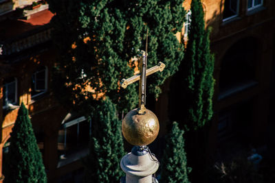 Close-up of small hanging on tree against building