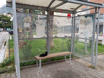 View of an empty bench on sidewalk against buildings