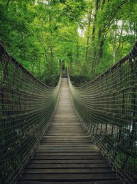 View of footbridge in forest