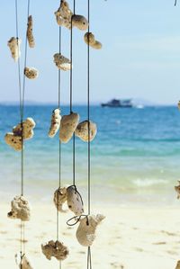 Clothes hanging on beach against sky