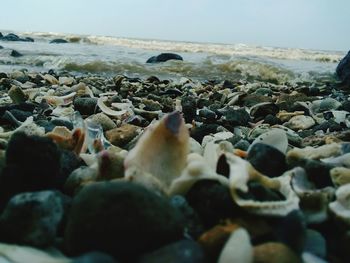 Surface level of stones on beach