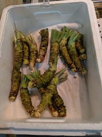 High angle view of food in a container