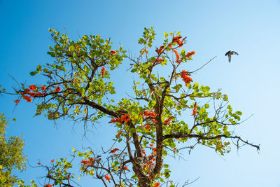 Low angle view of tree against sky